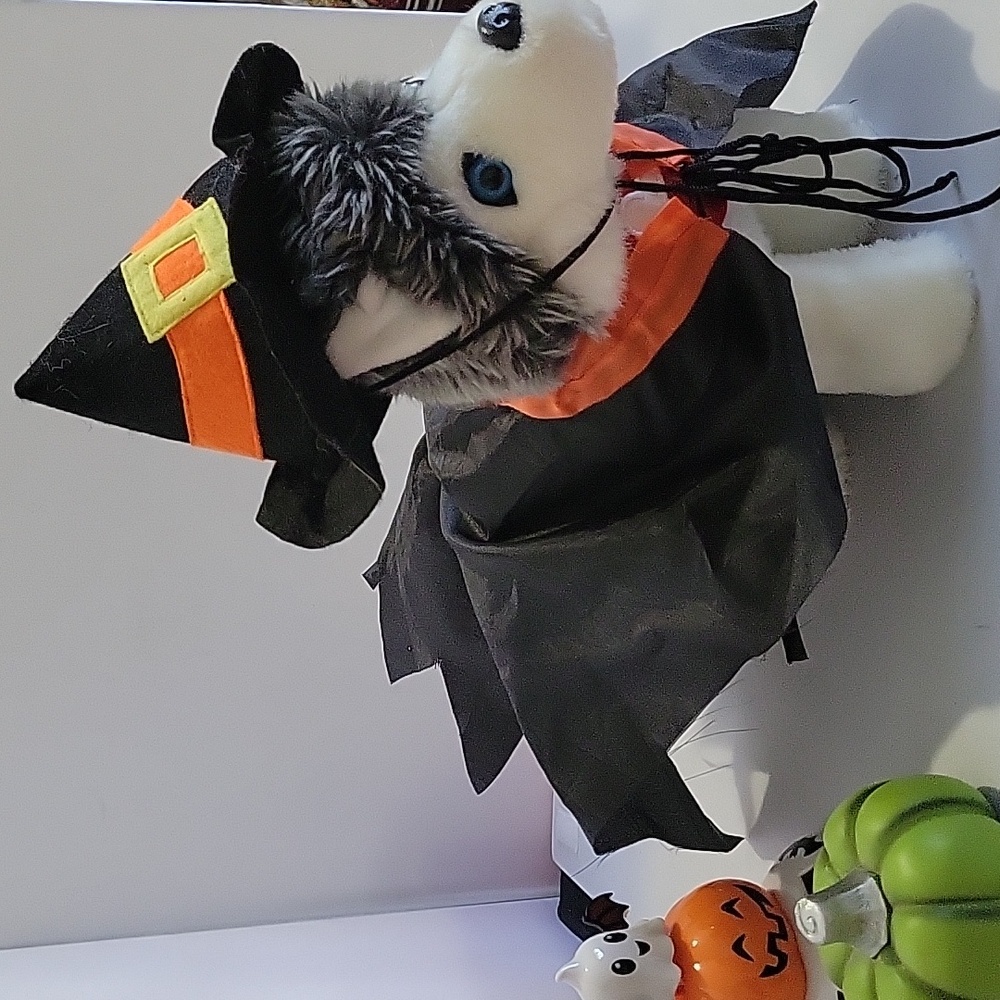 Pet Witch Costume with Hat - Black and Orange